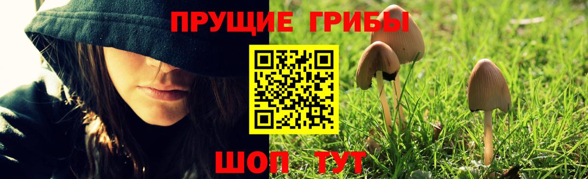 Псилоцибиновые грибы ЛСД Тобольск