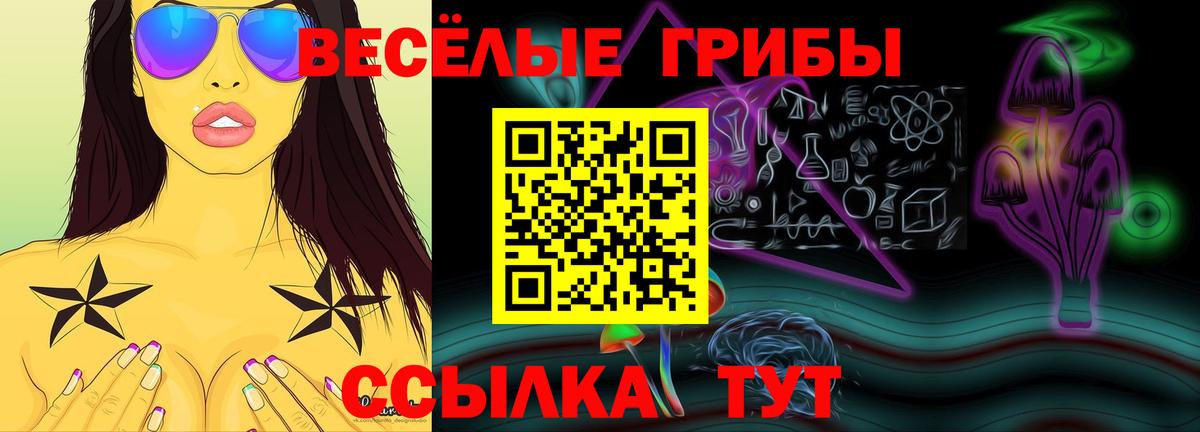 Псилоцибиновые грибы Psilocybe  Вход с VPN  Тобольск  Галлюциногенные грибы мухоморы 