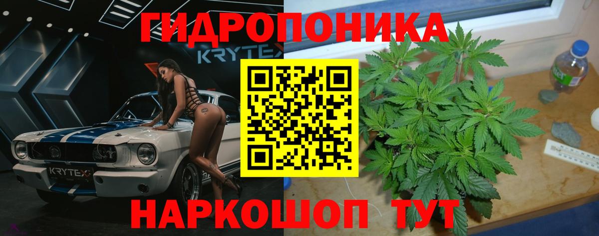 Бошки марихуана Ganja  Бошки Шишки Bruce Banner  Вход с VPN  Бошки Шишки White Widow  Тобольск  Марихуана тримм 